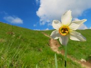 In LINZONE (1392 m) da Roncola il 9 maggio 2026 in solitaria ma incontrando tanti amici-FOTOGALLERY